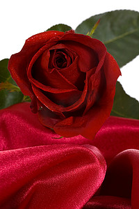 红丝绸摄影照片_红丝绸上的红玫瑰