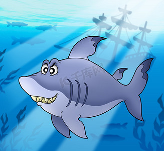 与海难的大蓝鲨