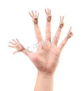 手指的五种配置五倍。