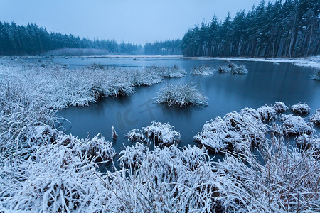 在狂放的湖的寒冷的冬天早晨