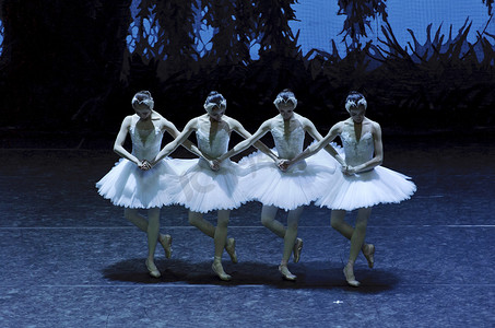 创意舞女摄影照片_天鹅湖芭蕾舞团