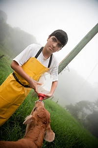 在哥斯达黎加奶牛场工作的小男孩