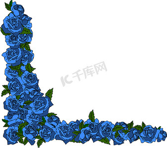 蓝玫瑰框架