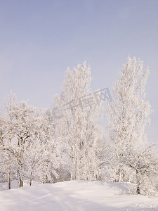 冬景观