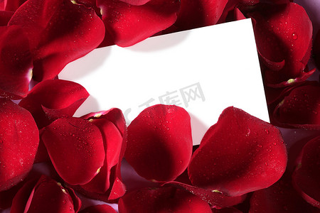 红玫瑰宏观关闭与空白笔记