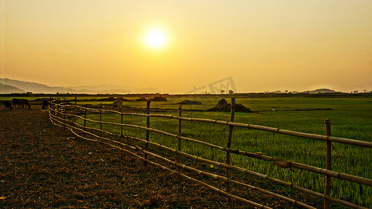 在日落的越南乡下风景与太阳，竹篱芭， pa