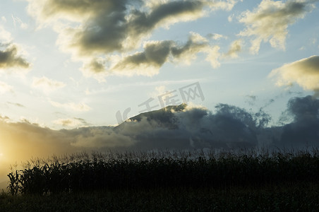 红萝卜玉米淮山大骨营养汤摄影照片_夕阳下的麦田