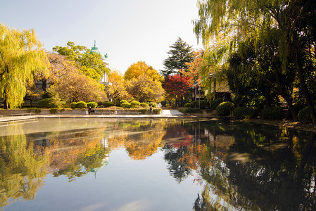 上野的美丽池塘