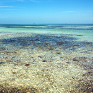 夏季沙滩游泳摄影照片_美国佛罗里达州的基韦斯特海滩