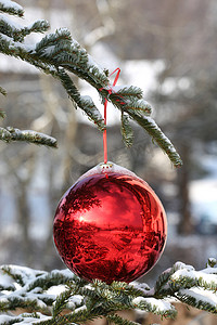 冷杉树枝上漂亮的圣诞摆设