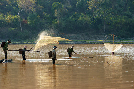 人们用提网在沟渠中捕鱼