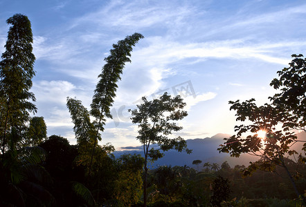 从安第斯山脉到亚马逊，热带雨林景观，Napo Prov