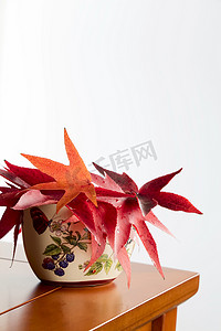 陶瓷花瓶中的秋叶