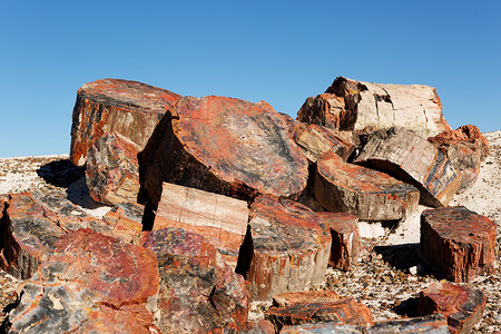 水晶化石木堆
