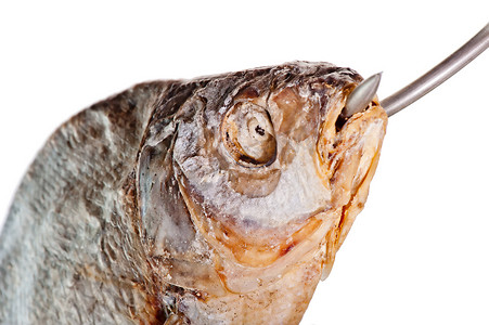 白色背景中嘴里有鱼钩的咸鱼头