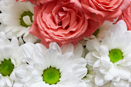 红色和白色的花——玫瑰和菊花