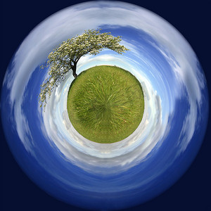 保护大气摄影照片_球体中的春天风景，有一棵孤独的树