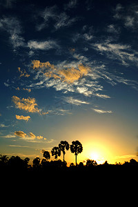 日落天空和棕榈树剪影