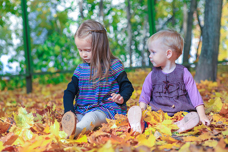 两个美丽的小女孩在温暖的秋日坐在黄色的草地上