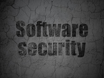 软件安全概念以砖墙为背景的软件安全