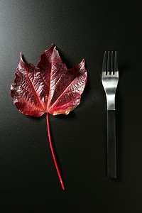 隐喻，健康饮食低卡路里五颜六色的素食叶子膳食