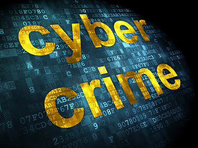安全概念：数字背景下的网络犯罪