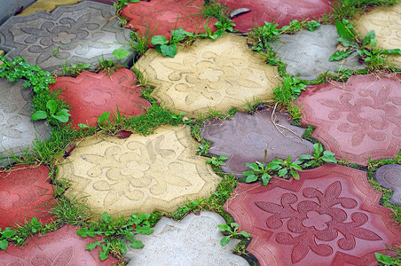 从缝隙中生长的草中彩色瓷砖的路径作为背面