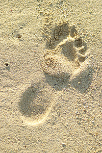 沙中的脚步