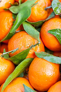 酸性背景摄影照片_新鲜柑橘或克莱门汀的背景