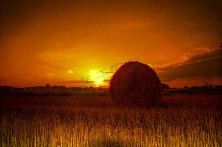 日落时收获谷物后的稻草包