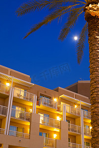 棕榈树页摄影照片_黄昏时分，豪华热带酒店度假村前面有一棵棕榈树