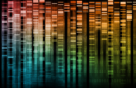 制药公司摄影照片_医学研究