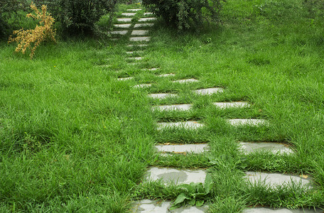 草地上的石板路