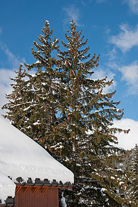 冬天的首页摄影照片_冬天的阿尔卑斯山 - 5