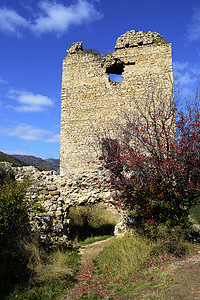 Coltesti 堡垒塔的形象，建于 13 世纪的 T