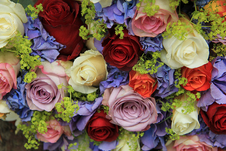 蓝色花瓣婚礼摄影照片_玫瑰和绣球花婚礼布置