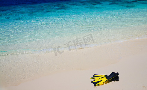 沙滩上带脚蹼的潜水面罩