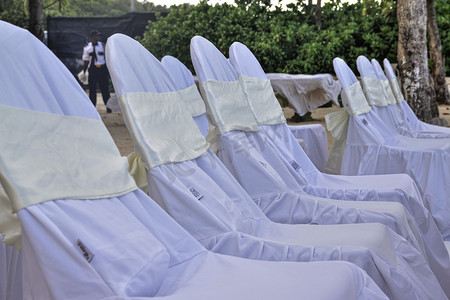 热带婚礼椅 79
