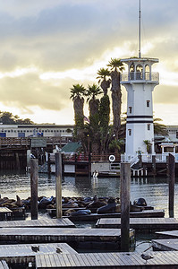 渔人码头摄影照片_加利福尼亚州旧金山 39 号码头