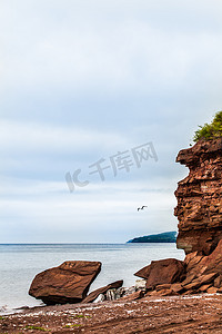 悬崖和路过的海鸥的美丽风景