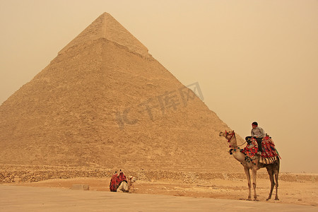 贝都因人骑着骆驼在开罗的沙流中靠近卡夫拉金字塔