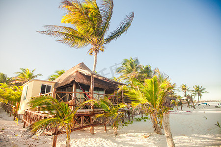 棕榈树页摄影照片_棕榈树间热带海滩平房