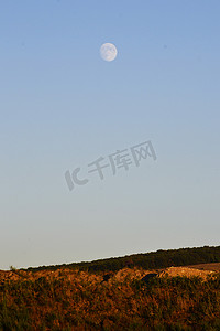 明亮的天空和月亮下的田野景观