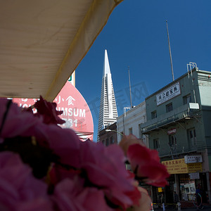 人像摄影照片_美国加州旧金山唐人街