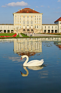 天鹅喷泉摄影照片_简体中文标题尼姆芬堡宫的天鹅