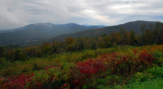 秋天的颜色谢南多厄国家公园弗吉尼亚