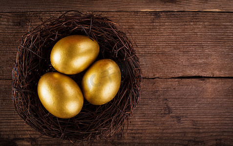 巢中的金蛋