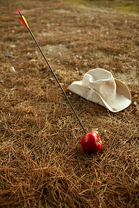 威廉·特尔的红苹果和箭头隐喻