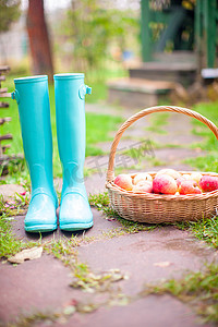 大自然水果摄影照片_乡村房屋庭院中色彩斑斓的橡胶靴和装满红苹果的大篮子特写