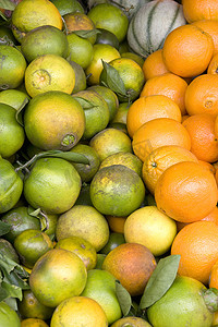 大自然水果摄影照片_热带水果销售